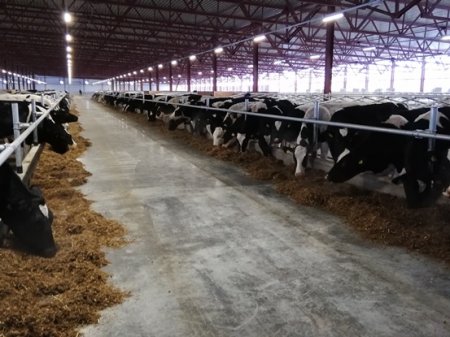 В Озёрах завершается строительство новой молочной фермы